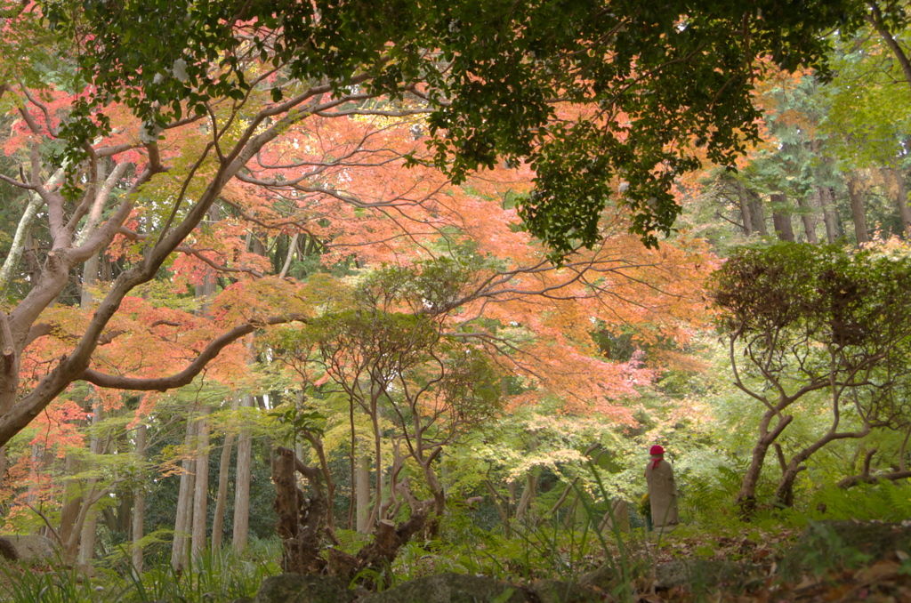 撮りたかったのはお地蔵様
