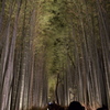 嵐山花灯路４