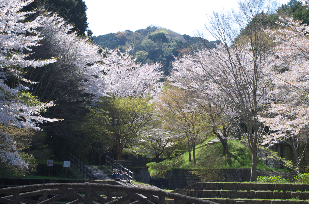 當麻寺の奥の方