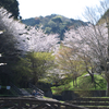 當麻寺の奥の方