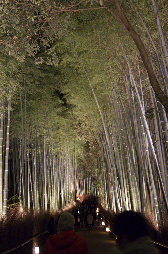 嵐山花灯路２