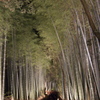 嵐山花灯路２