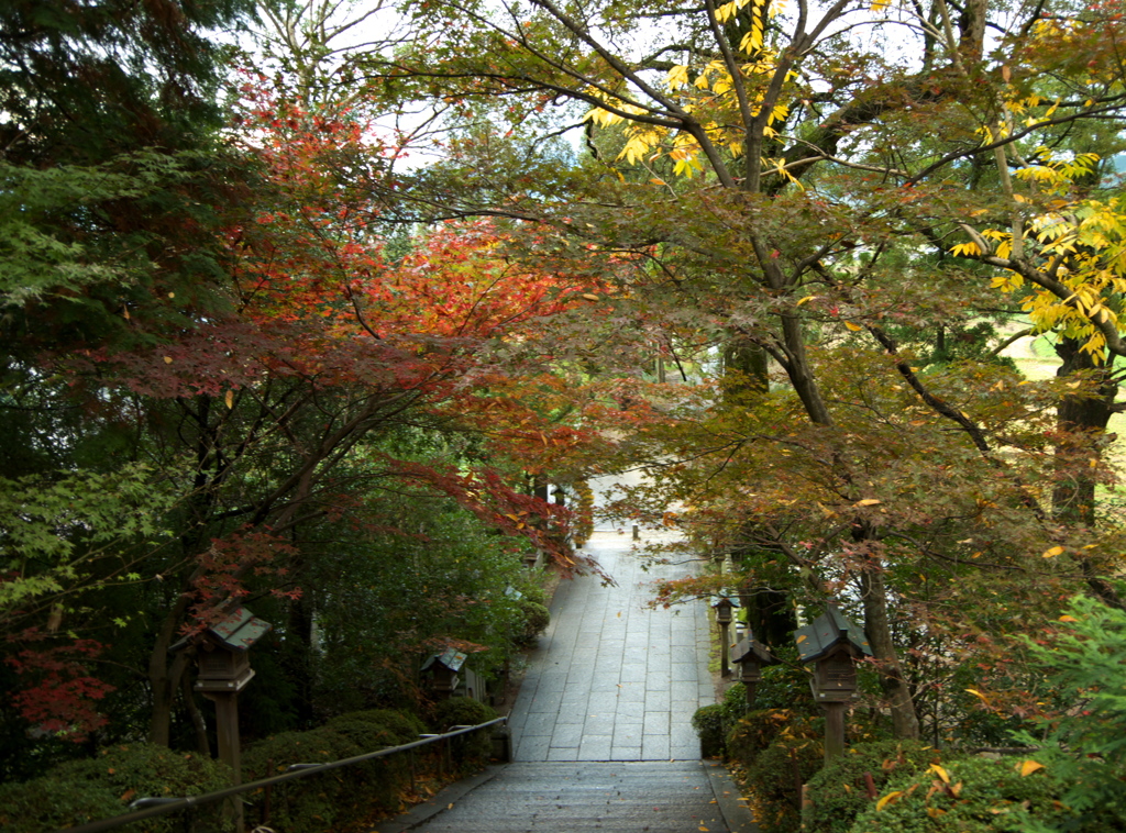 一言主神社３