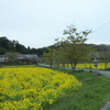 普賢寺観音寺３