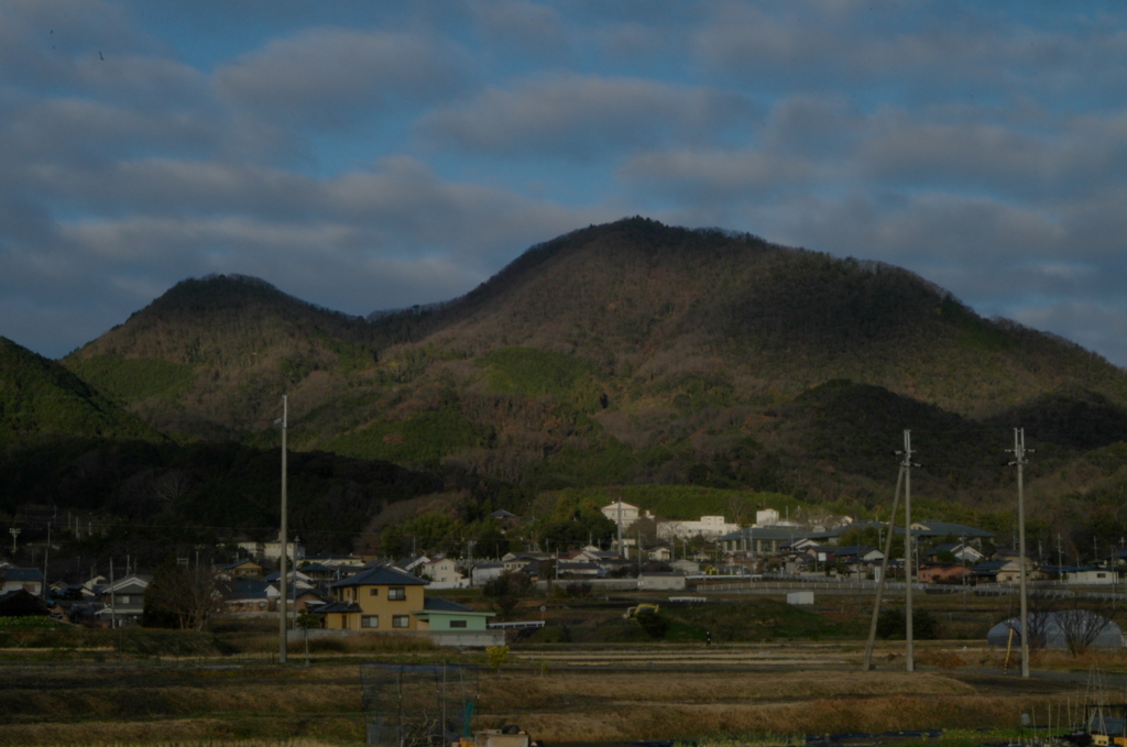 2020年最初の1枚