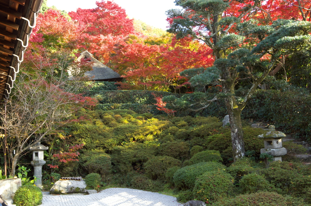 金福寺２