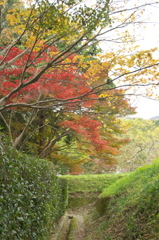 九品寺　少し入って