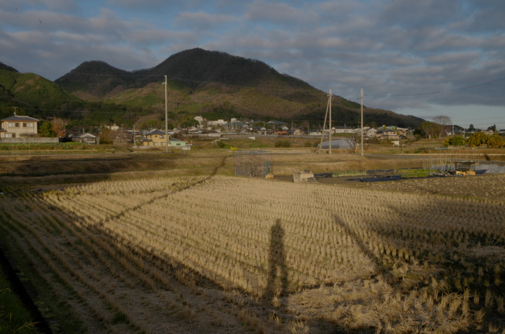 二上山と自分の影