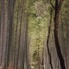 嵐山花灯路３