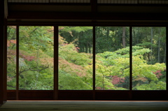 南禅寺　天授庵