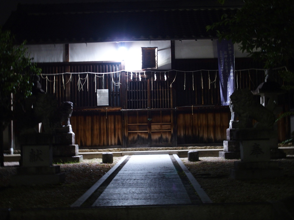 朝のお散歩