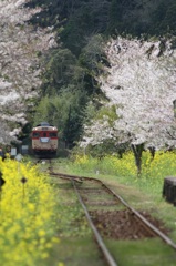 1504いすみ鉄道3