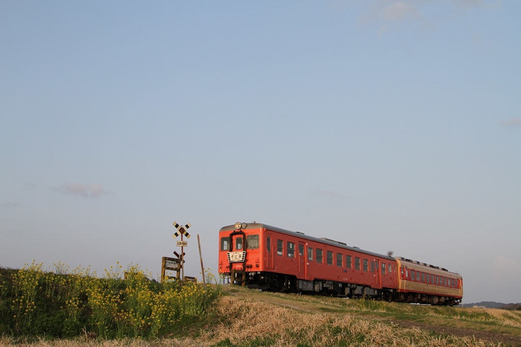 201503いすみ鉄道３