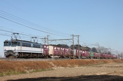 201501ヒガハス2