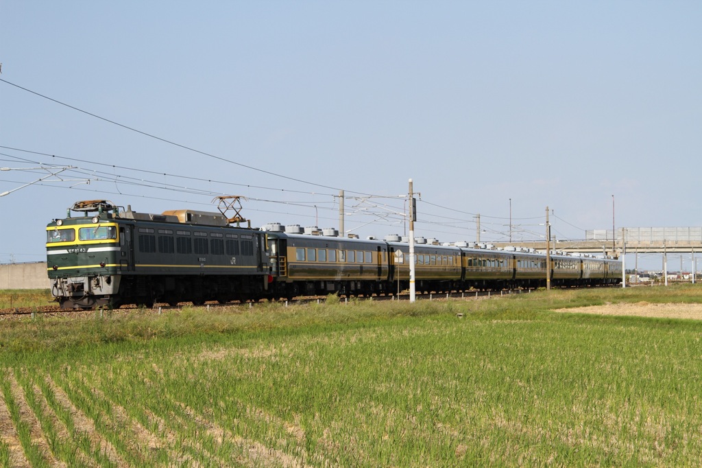 2014  サロンカーなにわ