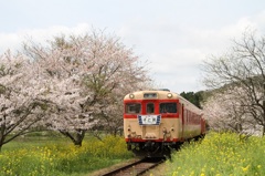 1504いすみ鉄道2