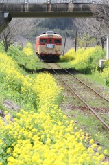 201503いすみ鉄道１