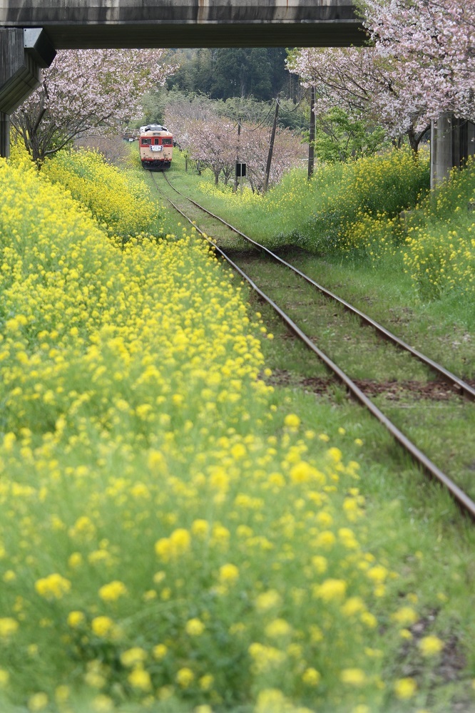 1504いすみ鉄道5
