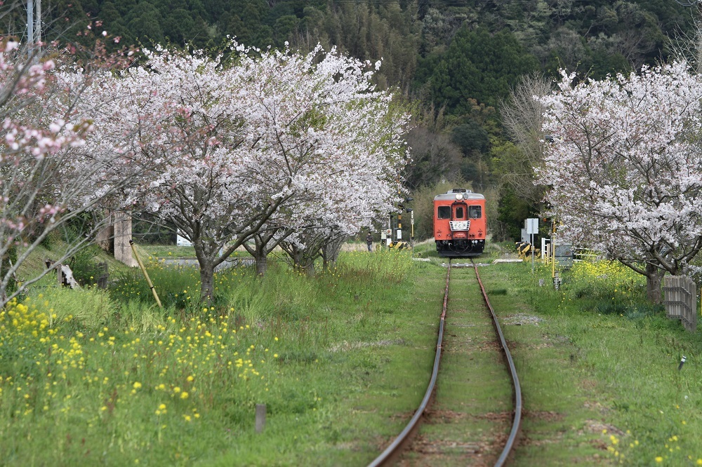 1504いすみ鉄道4