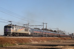 201501ヒガハス1