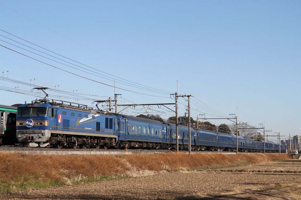 201501ヒガハス3