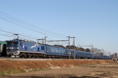 201501ヒガハス3