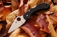 Spyderco DragonFry