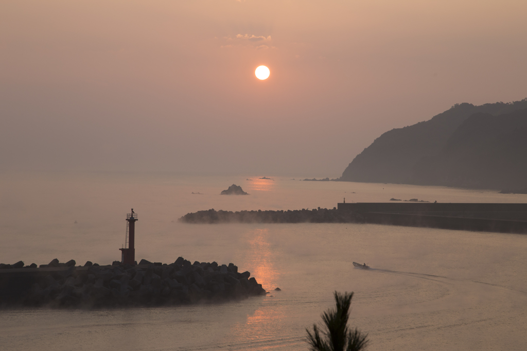 薄い海霧の朝