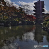 東寺にて