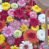 夏から秋へ