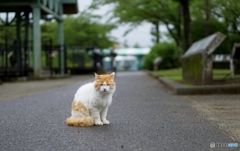 あの日、僕は君と出会った。