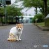 あの日、僕は君と出会った。