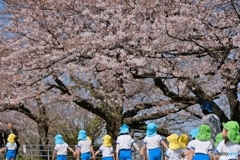 桜の花咲く公園へ