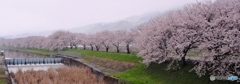 雨に濡れて