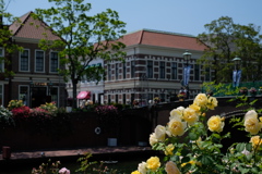 ハウステンボスリゾート　ローズフェスティバル　2017④