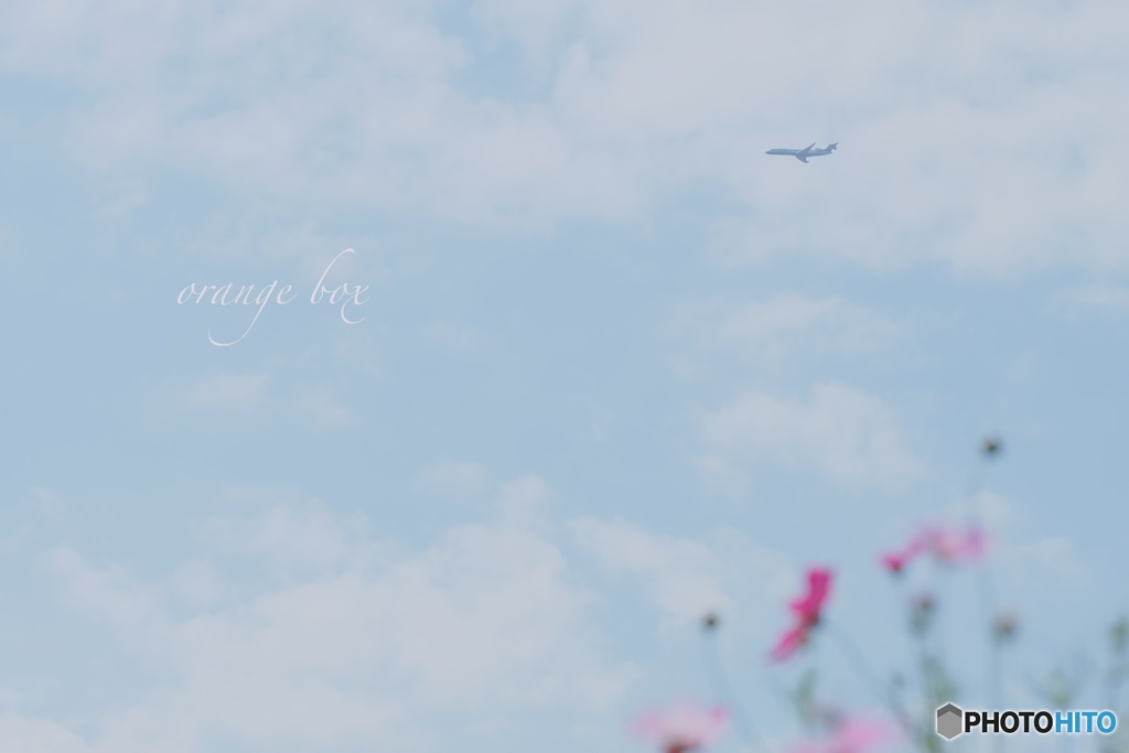 秋空