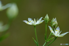 あけぼの荘