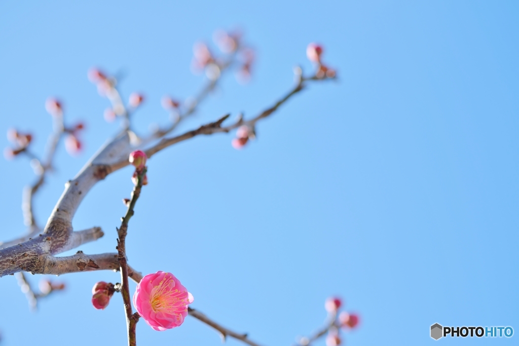 一つずつ