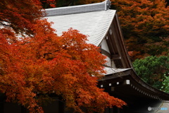 雷山千如寺の紅葉