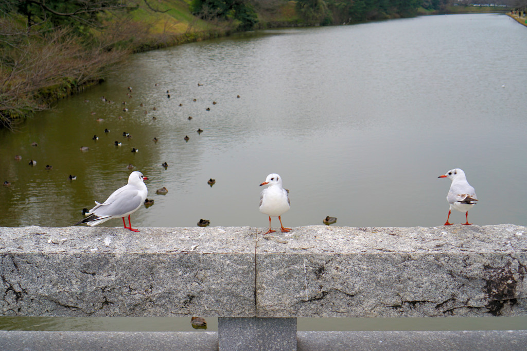 二股発覚！？～～～(^^ゞ