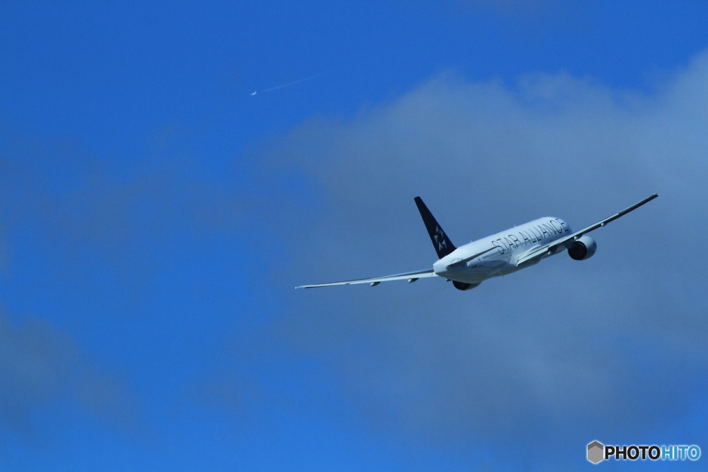 …ＳＴＡＲ　ＡＬＬＩＡＮＣＥ…