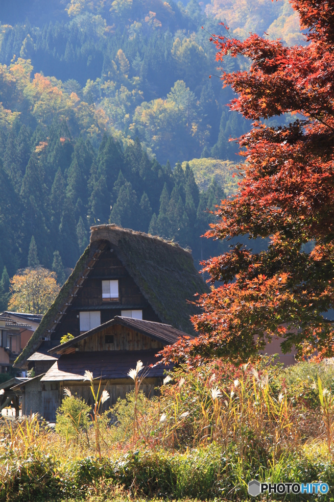 …白川郷の秋①…