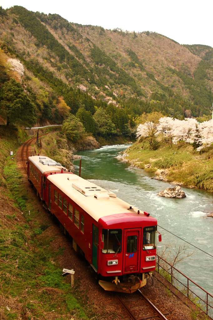 …清流列車…