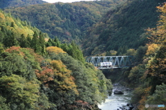 …樽見鉄道の秋①…