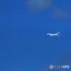 …ＡＮＡ　７８７…