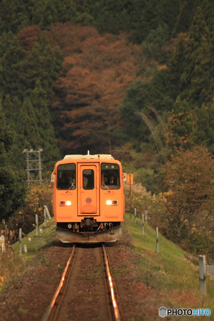 …樽見鉄道の秋②…