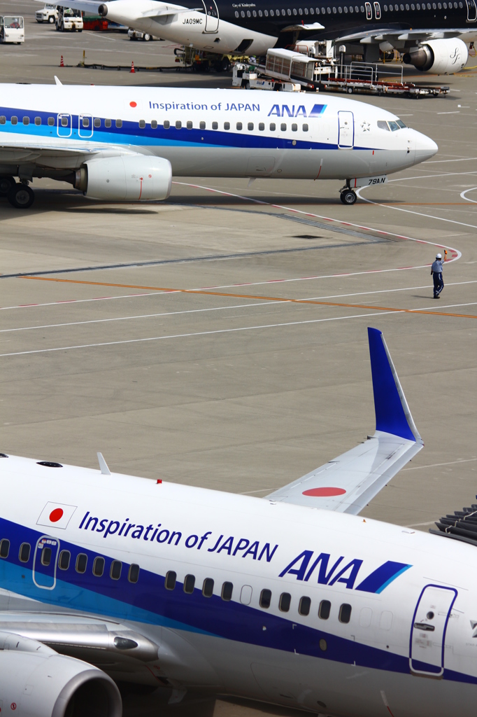 …セントレア　ＡＮＡ…