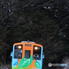 …ＭＡＬｅｒａ　ｇｏ！②…