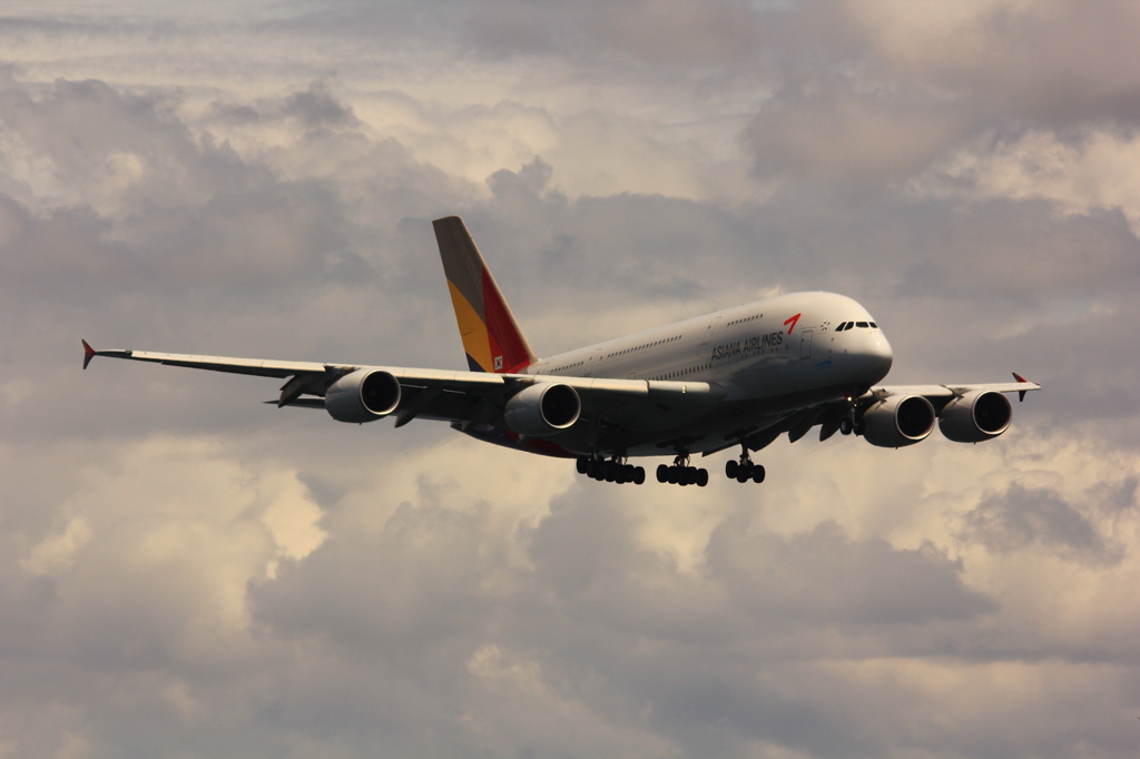 アシアナ航空　Ａ380