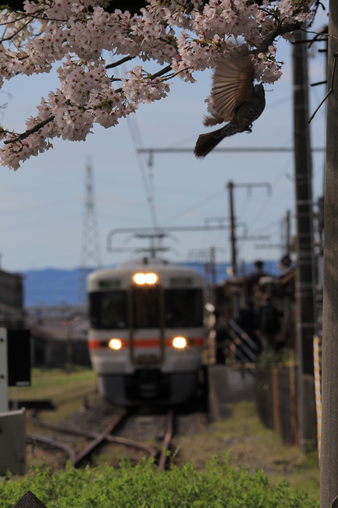 …終着駅の春①…